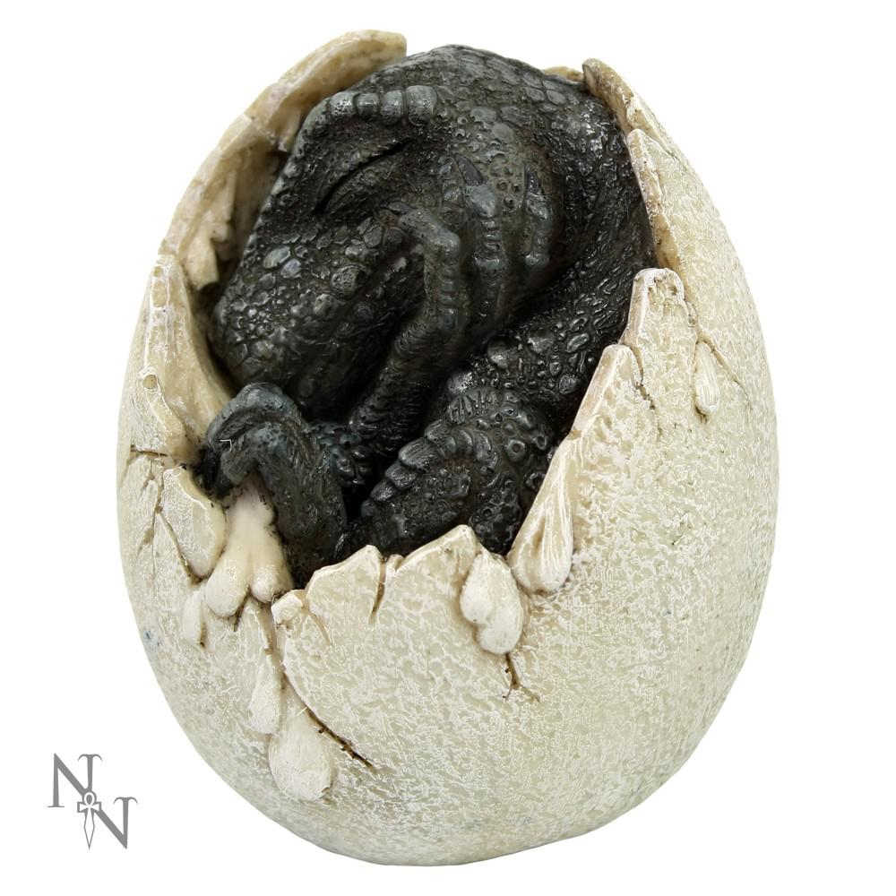 Nemesis Now - Wyrmlings First Light Figurine - Noir/Blanc